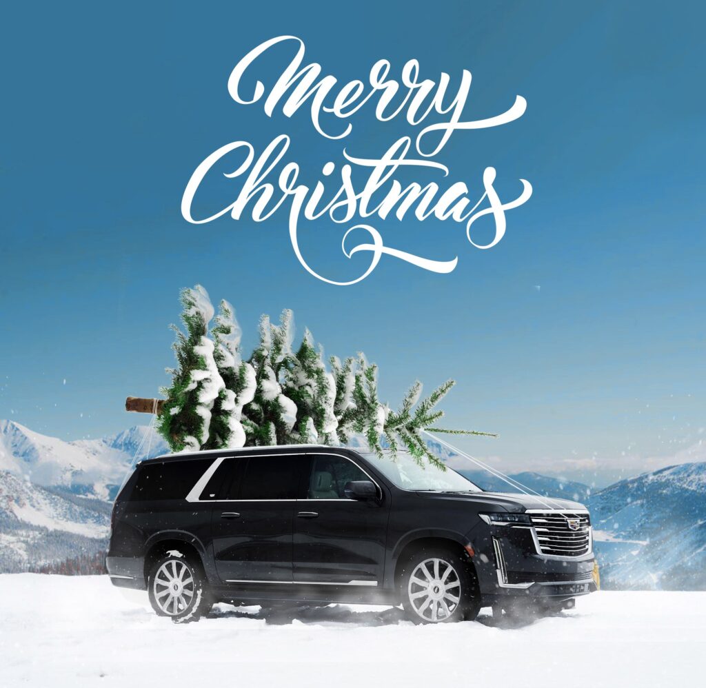 Wishing You a Merry Christmas and Happy Holidays!
